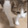 1133360679743651860 Discord emoji
