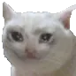 Crykitty Discord Emoji