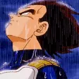 VegetaPain