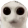 aliencat