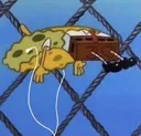 spongeboblistening