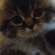 xx_gifcatpaw Discord emoji