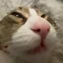 goober goober