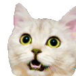 DreamMeowShocked Discord Emoji