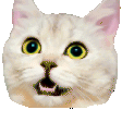 DreamMeowJam Discord Emoji