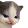 Hehe