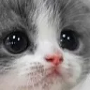 pwease