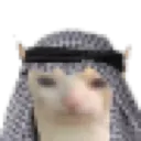 habibi