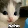 HeheKitty