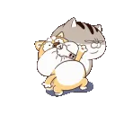 bo_kill