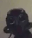 WUT