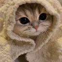 cattie_hm Discord emoji