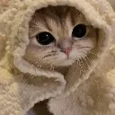 cattie_hm