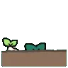 peekings