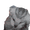 TheVoices Discord emoji