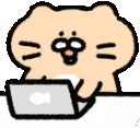 p_cattype