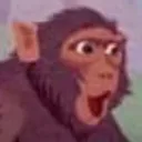 pogchimp