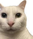 tonywhenheissmol Discord emoji