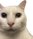 tonywhenheissmol tonywhenheissmol