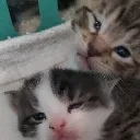 thebestduo