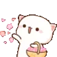 SMR_spreading_flower SMR_spreading_flower