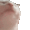 catJam Discord Emoji