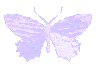NabiWabi