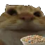 Cat_Eating
