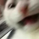 aa