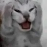serfric_nooo