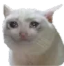 serfric_sadge
