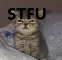 6304catstfu Discord Emoji