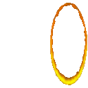 6574_portalorangeparrot