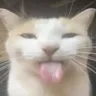 bleh