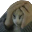 oh_no oh_no