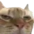 UnimpressedCat Discord Emoji