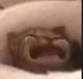 waaaa