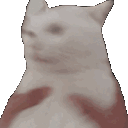 RT_gatitoshake