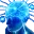 bigbrain