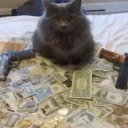 thugcat