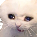 CatCryWhite Discord emoji