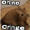 CatOhNoCringe Discord emoji