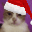 CatChristmas Discord emoji