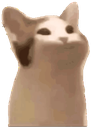 CatPop Discord emoji