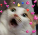 CatFearLove Discord emoji