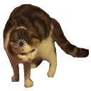 CatLoading Discord emoji