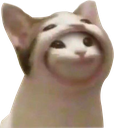 CatCat Discord emoji