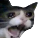 CatScream Discord emoji