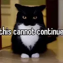 thiscannotcontinue