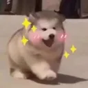 mmexport229dcb1f69649f26e243f03f